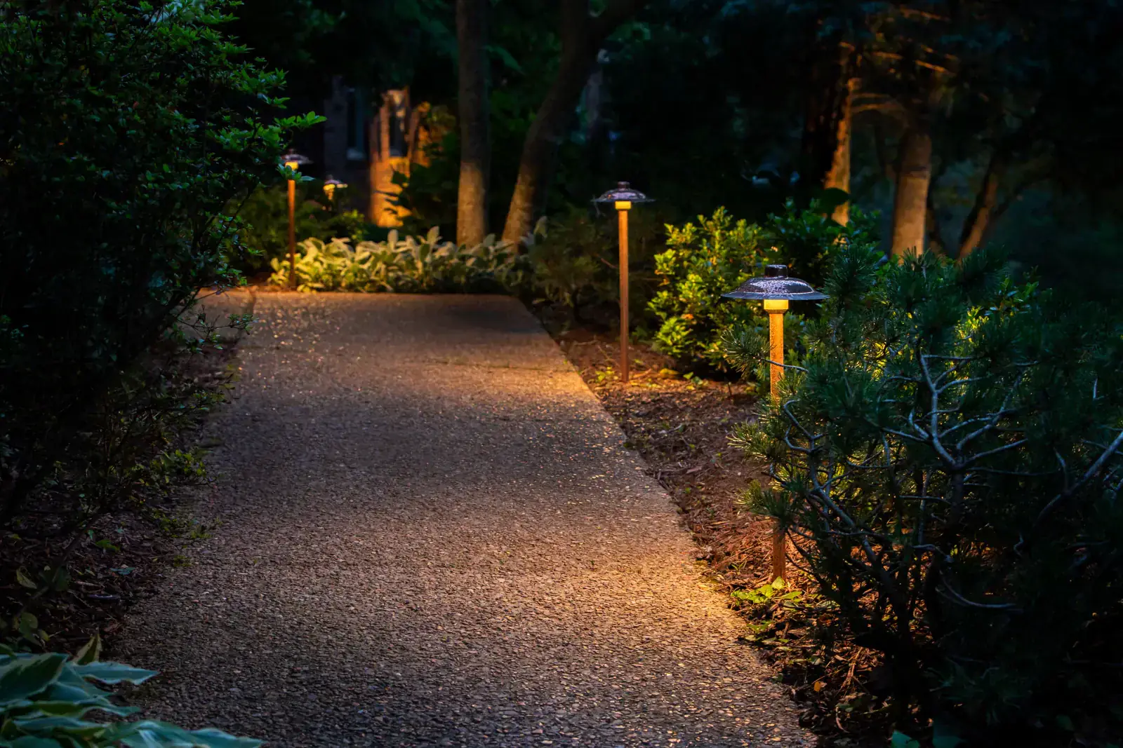 Long woodland garden pathway lined with copper mushroom path lights illuminating shrubs and groundcover at night, Middle Tennessee