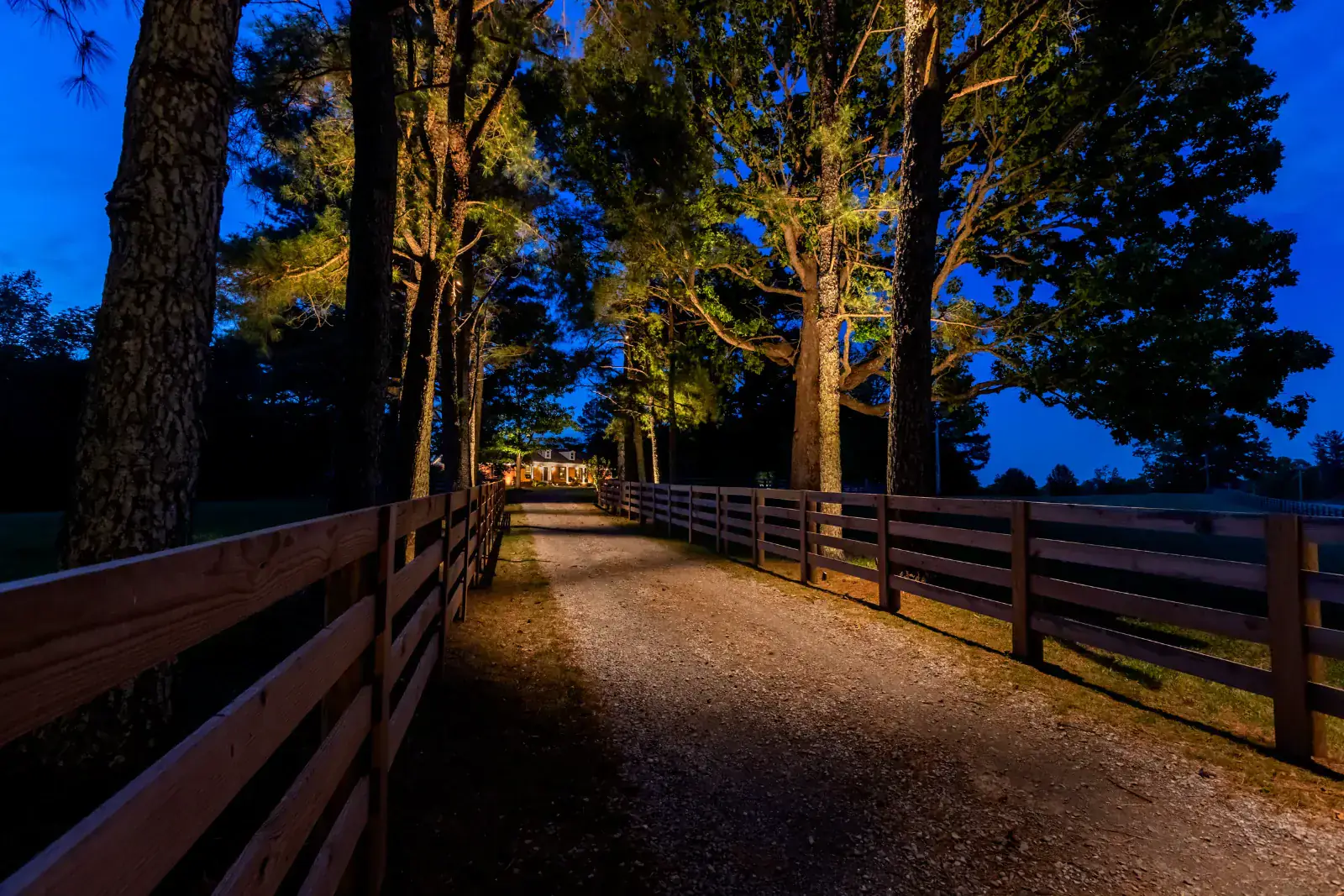 A lit driveway lined with tall trees and wooden fencing at dusk in Middle Tennessee