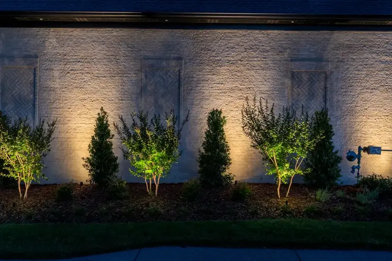 Uplighted specimen trees against a textured stone wall at night, showing warm landscape lighting by Light TN
