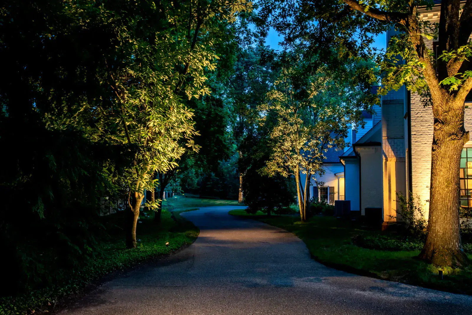 Winding estate driveway flanked by mature canopy trees lit with warm LED uplighting at blue hour, white-brick Colonial facade partially visible at right, Belle Meade, TN