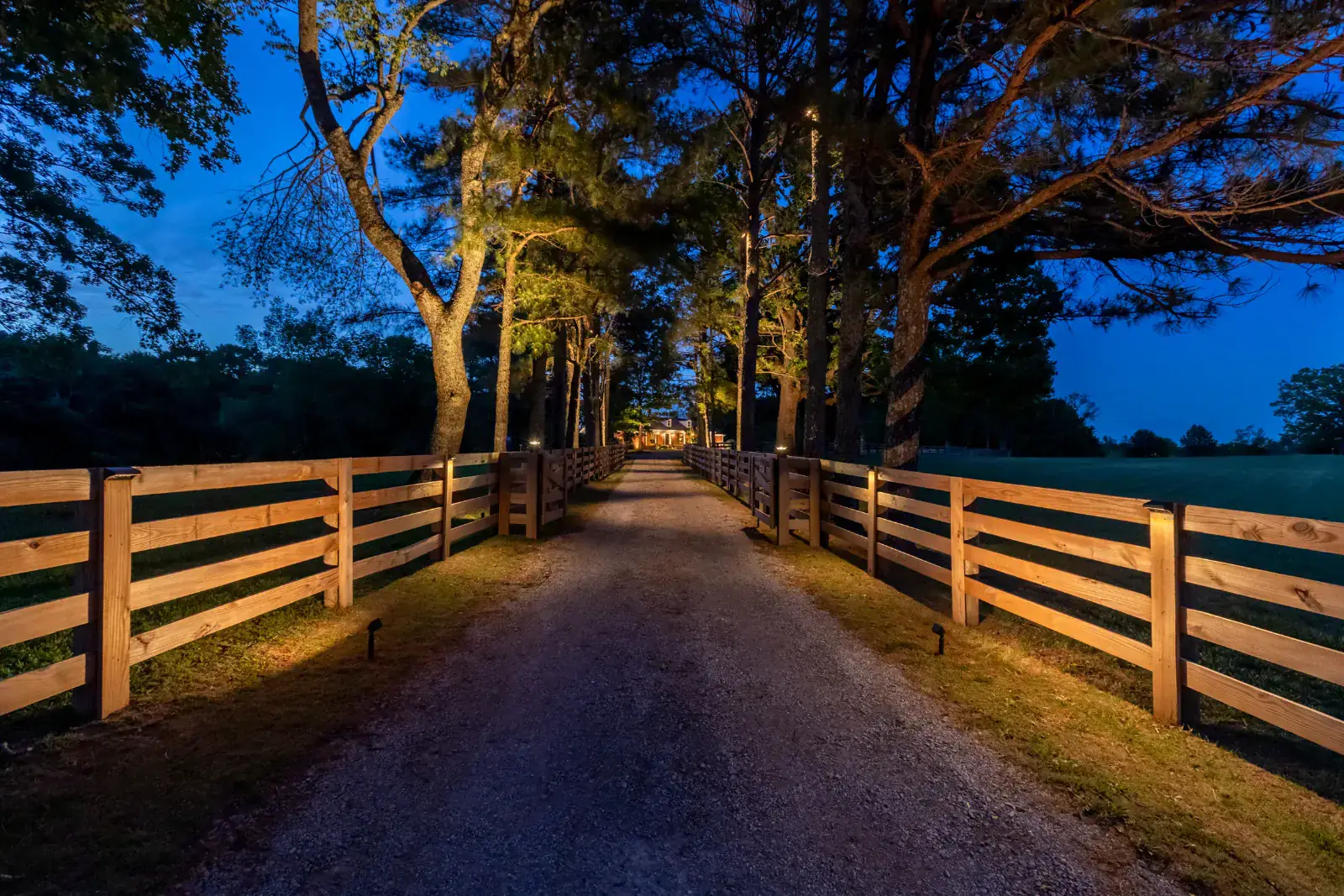 Straight gravel farm driveway lined with symmetrical cedar split-rail fences lit with warm LED uplighting and uplit pine canopy trees receding to a farmhouse at dusk, Middle Tennessee