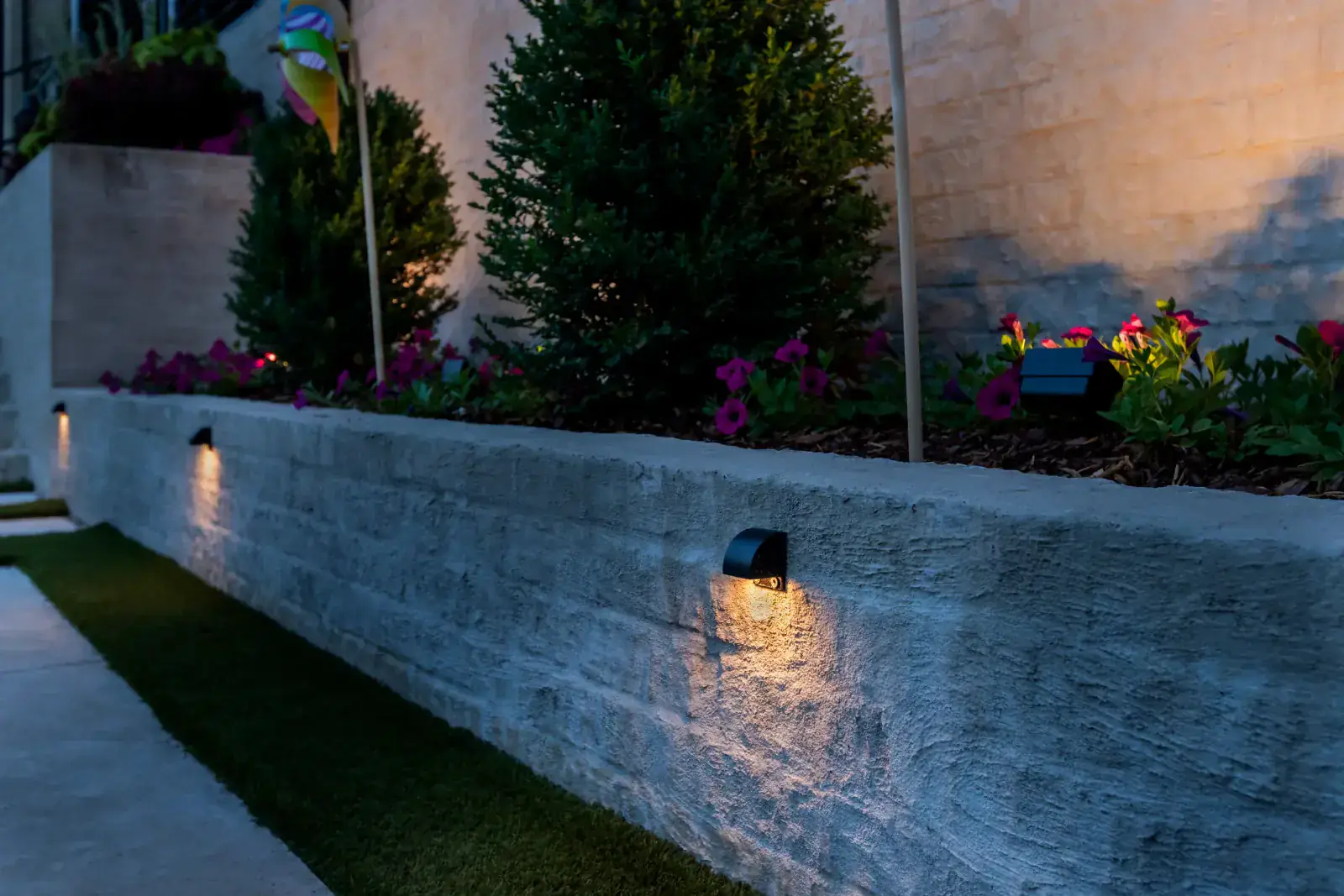 Warm LED step lights mounted in a limestone retaining wall with boxwood topiary uplighting and purple petunia garden beds at blue hour, Middle Tennessee