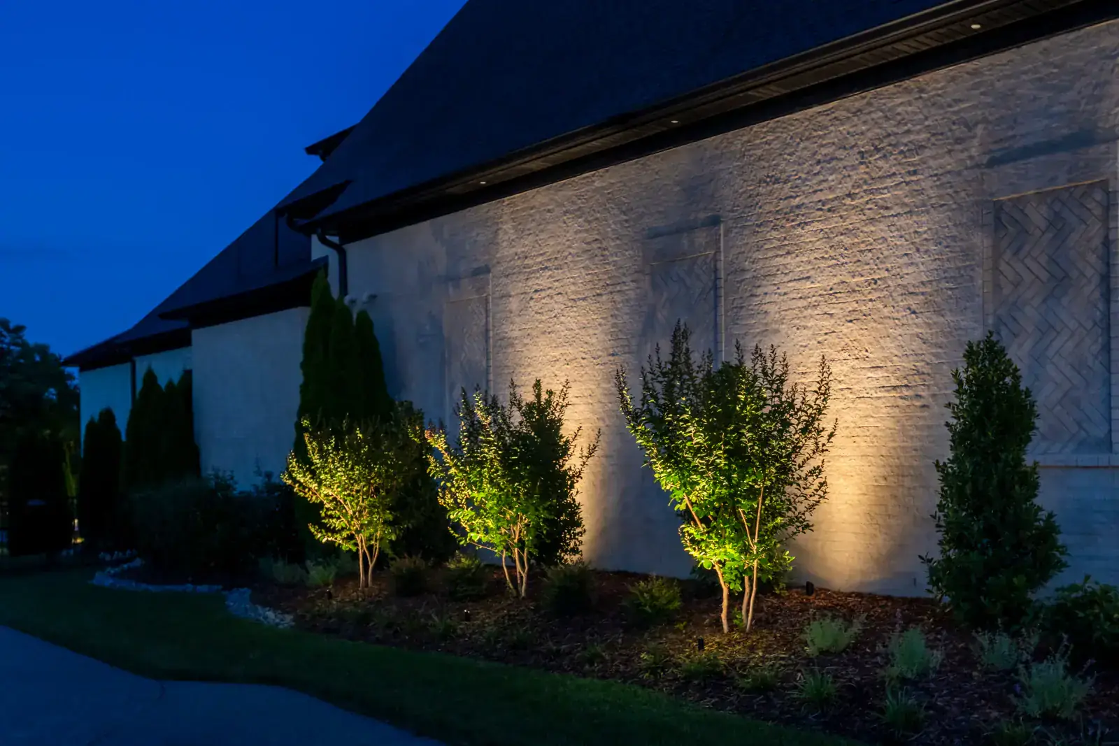 Side elevation of a modern white-brick estate with warm LED facade up-lighting, multi-stem ornamental tree uplighting, and evergreen foundation shrub lighting at blue hour, Middle Tennessee