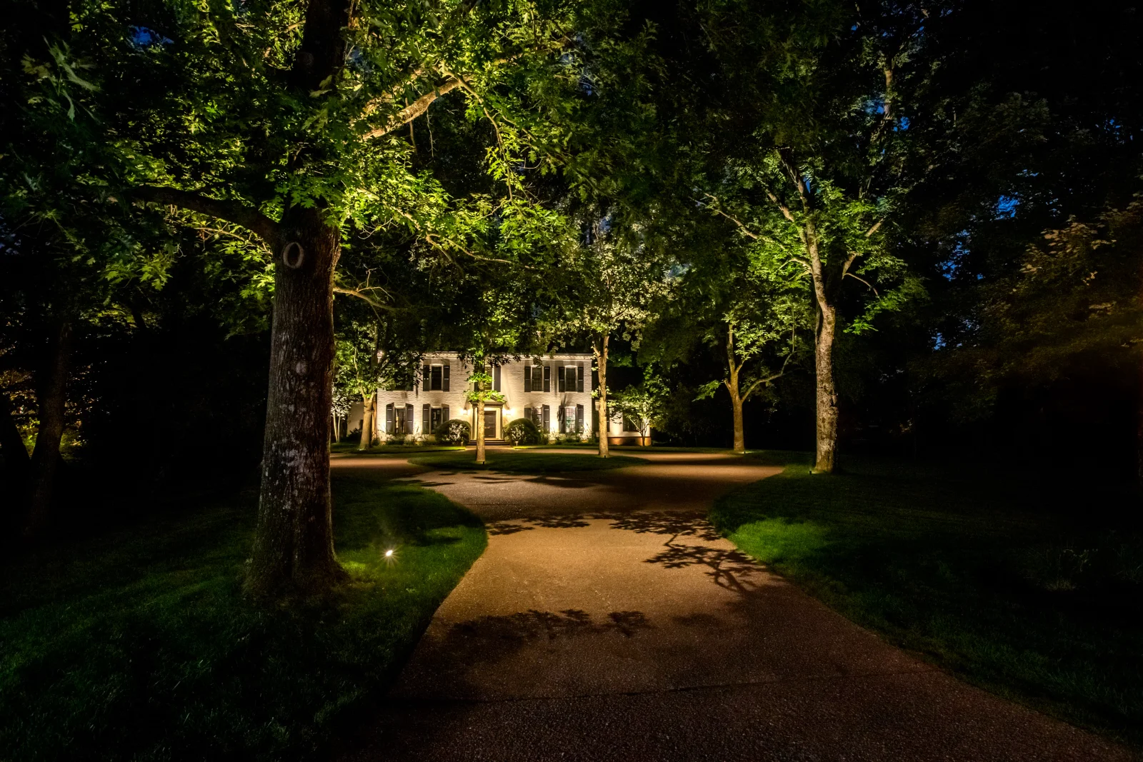 A Brentwood estate lit at night with tree up-lighting along a long driveway