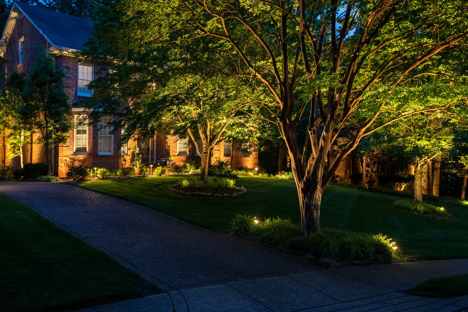 LED landscape lighting at 2700K illuminating trees and brick home at night by Light TN