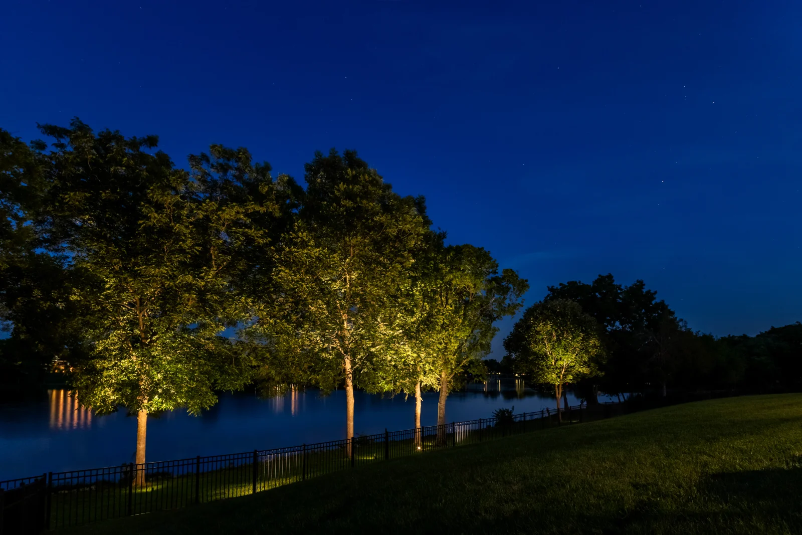 Uplighted trees along a lakefront at night, warm golden light reflected on the water under a deep blue sky