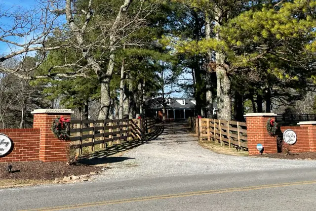 Tree-lined driveway, brick pillars and timber fence illuminated after dark